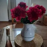 公寓 Cosy And Calm In Heart With Free And Large Parking Q-park Chavant *