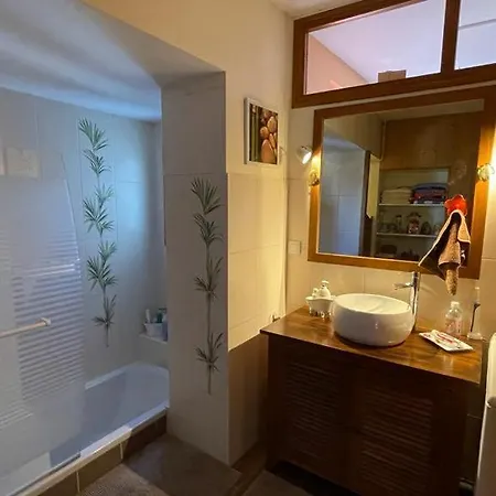 Cosy And Calm In Heart, Air-conditioned, With Free And Large Parking Q-park Chavant * גרנובל