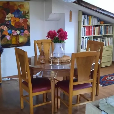 Cosy And Calm In Heart, Air-conditioned, With Free And Large Parking Q-park Chavant דירה גרנובל
