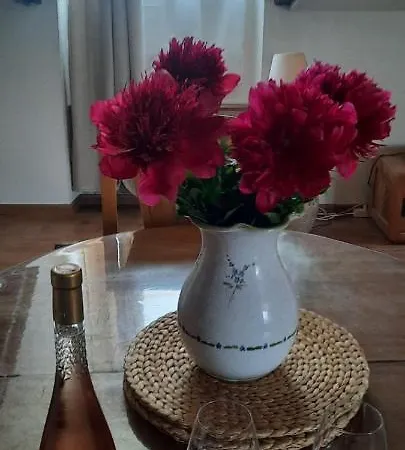 Apartment Cosy And Calm In Heart, Air-conditioned, With Free And Large Parking Q-park Chavant *