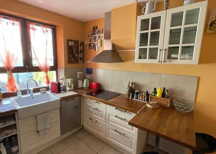 Appartement Cosy And Calm In Heart With Free And Large Parking Q-park Chavant