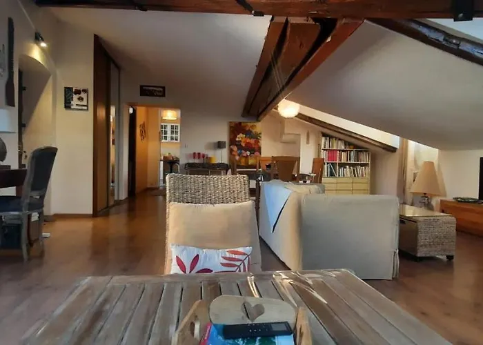 Apartment Cosy And Calm In Heart With Free And Large Parking Q-park Chavant Grenoble